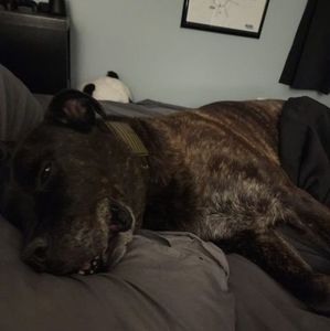 Meet your Posher, Kyle